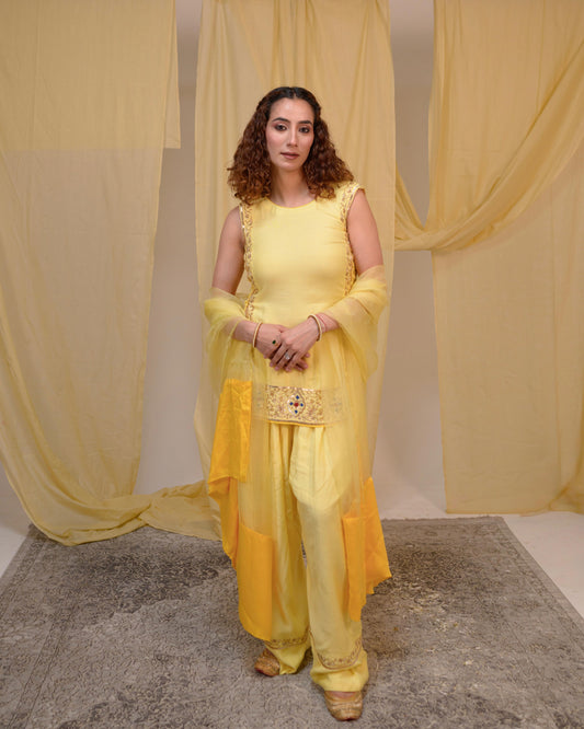 Hand-Embroidered Farshi Salwar Set with Organza Dupatta | Tarah by Tripti